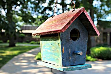 bird_house_garden_rustic.jpg